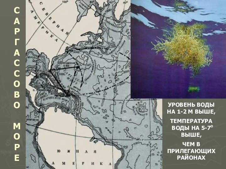 САРГАССОВО МОРЕ УРОВЕНЬ ВОДЫ НА 1-2 М ВЫШЕ, ТЕМПЕРАТУРА ВОДЫ НА