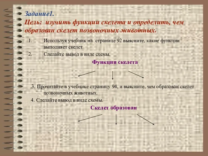 Задание1. Цель: изучить функции скелета и определить, чем образован скелет позвоночных