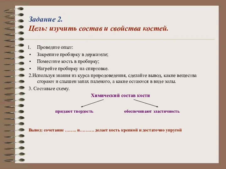 Задание 2. Цель: изучить состав и свойства костей. Проведите опыт: Закрепите