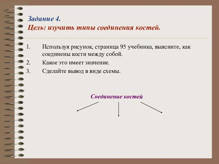 Задание 4. Цель: изучить типы соединения костей. Используя рисунок, страница 95