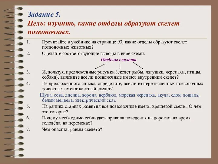 Задание 5. Цель: изучить, какие отделы образуют скелет позвоночных. Прочитайте в