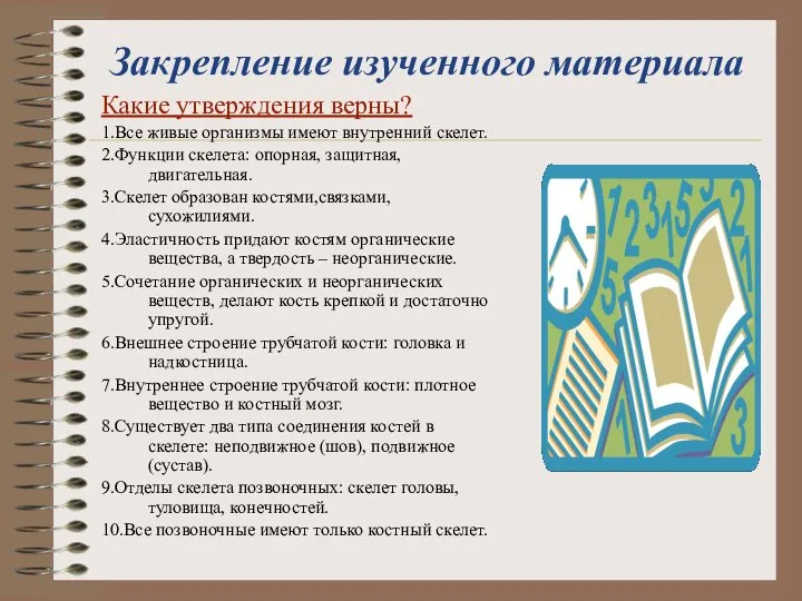 Закрепление изученного материала Какие утверждения верны? 1.Все живые организмы имеют внутренний