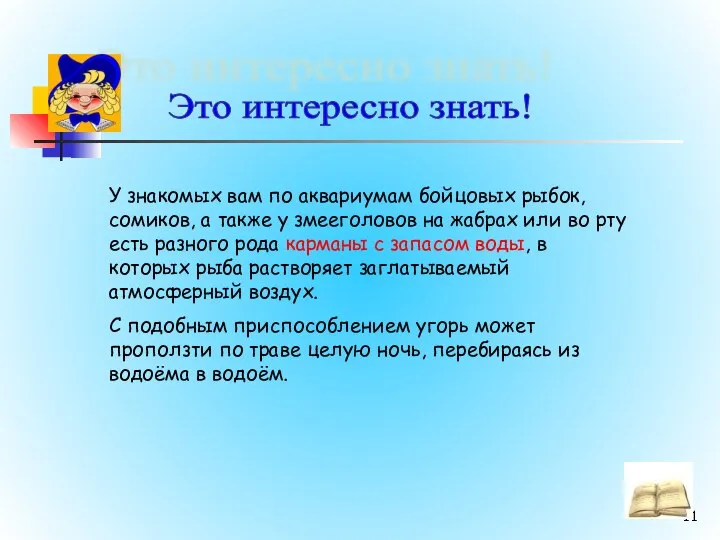 Это интересно знать! У знакомых вам по аквариумам бойцовых рыбок, сомиков,