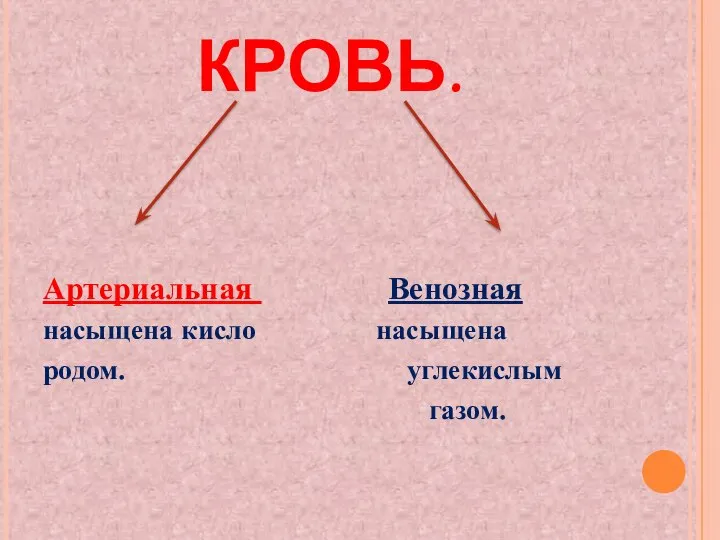 КРОВЬ. Артериальная Венозная насыщена кисло насыщена родом. углекислым газом.