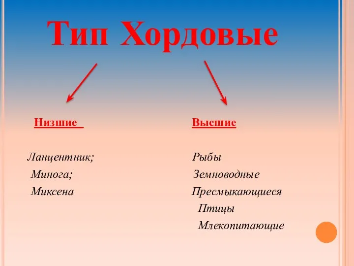 Тип Хордовые Низшие Высшие Ланцентник; Рыбы Минога; Земноводные Миксена Пресмыкающиеся Птицы Млекопитающие