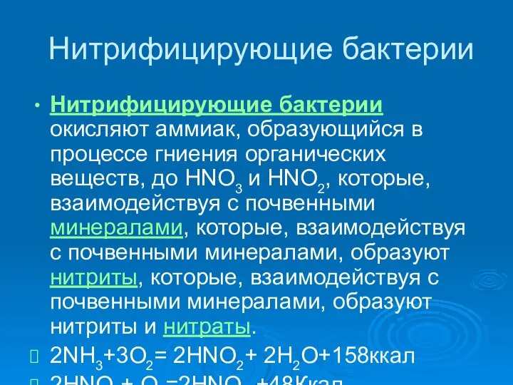 Нитрифицирующие бактерии Нитрифицирующие бактерии окисляют аммиак, образующийся в процессе гниения органических