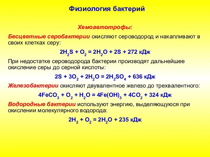 Физиология бактерий Хемоавтотрофы: Бесцветные серобактерии окисляют сероводород и накапливают в своих