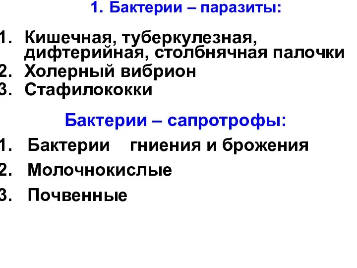 Кишечная, туберкулезная, дифтерийная, столбнячная палочки Холерный вибрион Стафилококки Бактерии – сапротрофы: