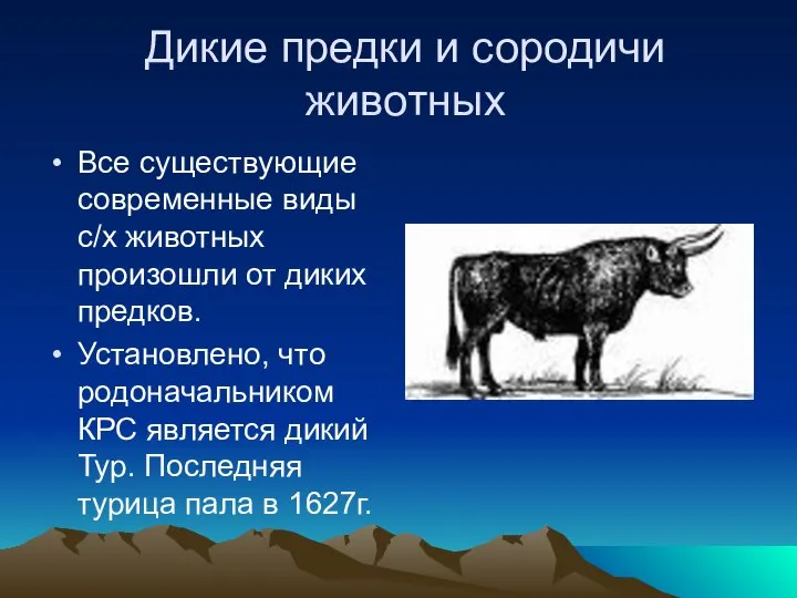 Дикие предки и сородичи животных Все существующие современные виды с/х животных