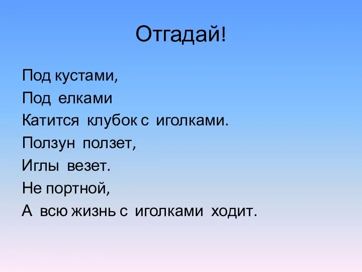 Отгадай! Под кустами, Под елками Катится клубок с иголками. Ползун ползет,