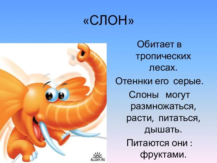 «СЛОН» Обитает в тропических лесах. Отеннки его серые. Слоны могут размножаться,