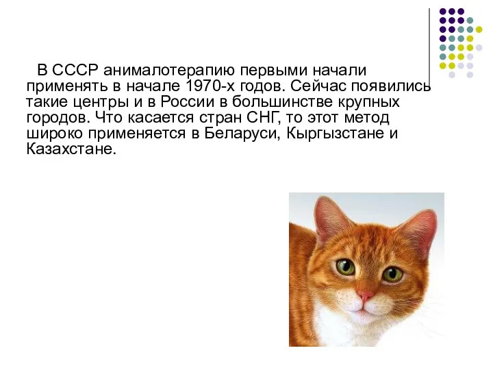 В СССР анималотерапию первыми начали применять в начале 1970-х годов. Сейчас