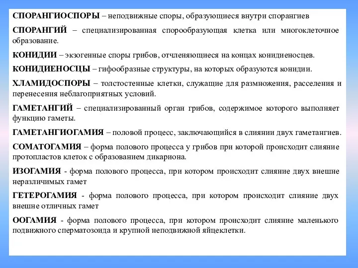 СПОРАНГИОСПОРЫ – неподвижные споры, образующиеся внутри спорангиев СПОРАНГИЙ – специализированная спорообразующая