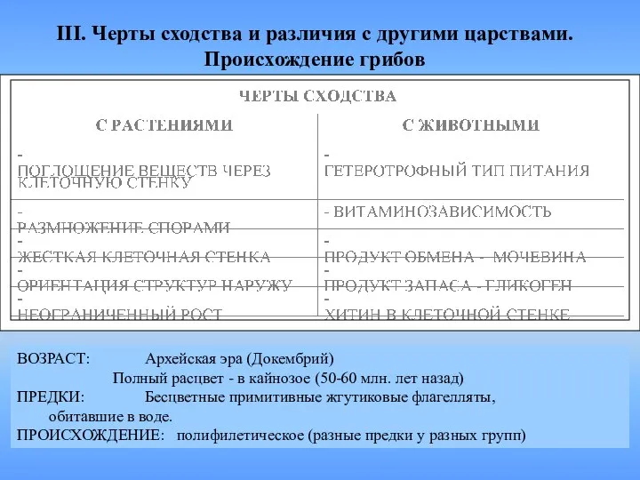 III. Черты сходства и различия с другими царствами. Происхождение грибов ВОЗРАСТ: