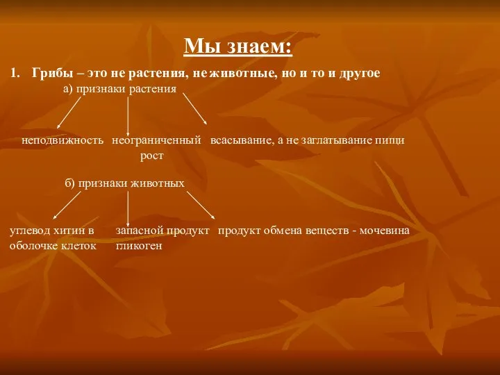 Мы знаем: Грибы – это не растения, не животные, но и