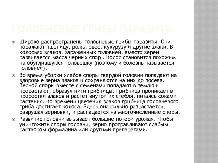 Головневые грибы паразиты Широко распространены головневые грибы-паразиты. Они поражают пшеницу, рожь,