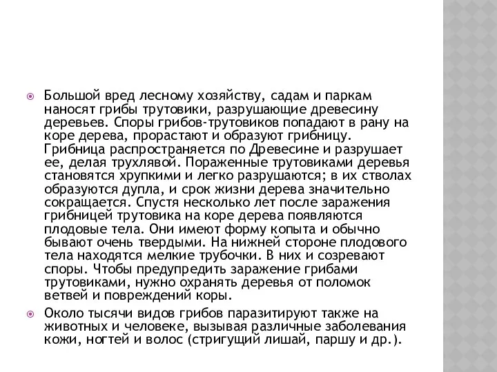 Большой вред лесному хозяйству, садам и паркам наносят грибы трутовики, разрушающие