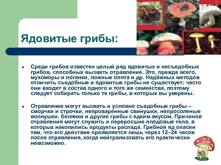 Ядовитые грибы: Среди грибов известен целый ряд ядовитых и несъедобных грибов,