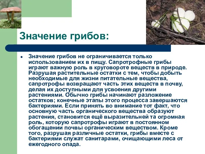 Значение грибов: Значение грибов не ограничивается только использованием их в пищу.