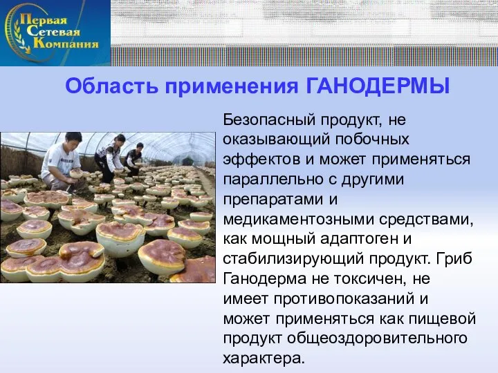 Область применения ГАНОДЕРМЫ Безопасный продукт, не оказывающий побочных эффектов и может