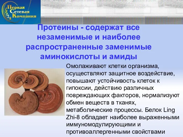 Протеины - содержат все незаменимые и наиболее распространенные заменимые аминокислоты и