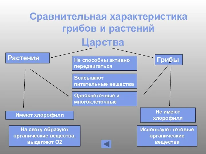 Сравнительная характеристика грибов и растений Царства Растения Грибы Не способны активно