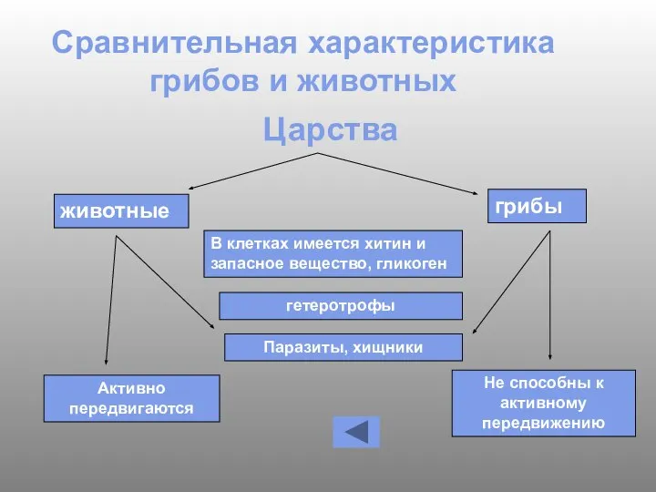 Сравнительная характеристика грибов и животных Царства животные грибы В клетках имеется