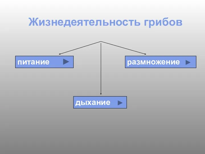 Жизнедеятельность грибов размножение питание дыхание