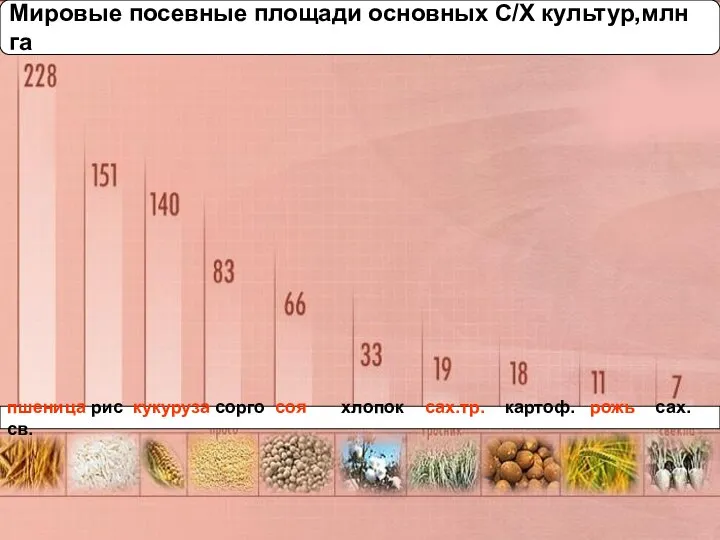 пшеница рис кукуруза сорго соя хлопок сах.тр. картоф. рожь сах. св.