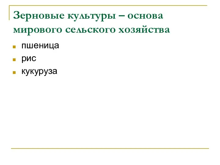 Зерновые культуры – основа мирового сельского хозяйства пшеница рис кукуруза