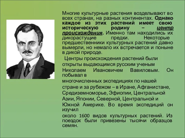 Многие культурные растения возделывают во всех странах, на разных континентах. Однако