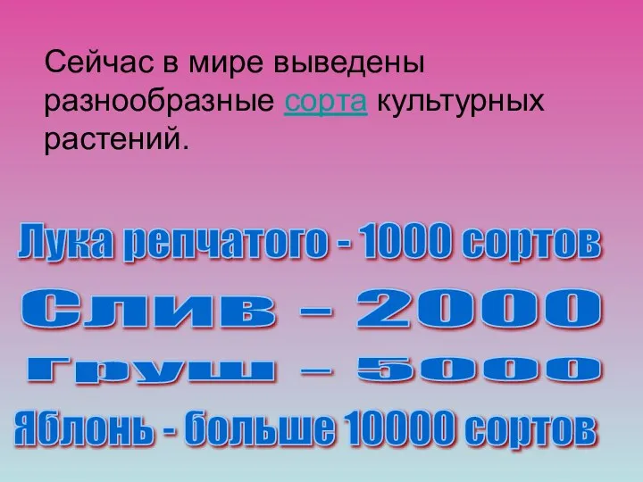 Сейчас в мире выведены разнообразные сорта культурных растений. Лука репчатого -