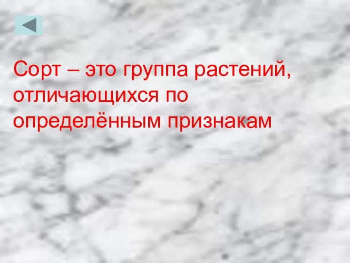 Сорт – это группа растений, отличающихся по определённым признакам