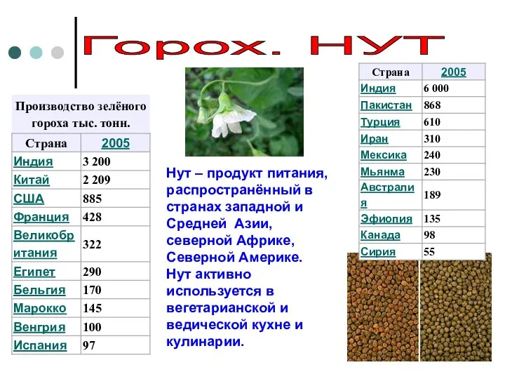 Горох. НУТ Нут – продукт питания, распространённый в странах западной и