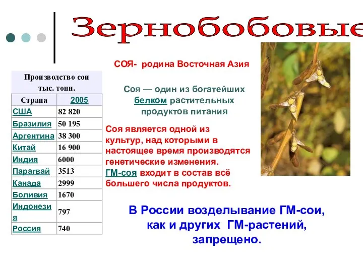 Зернобобовые СОЯ- родина Восточная Азия Соя — один из богатейших белком