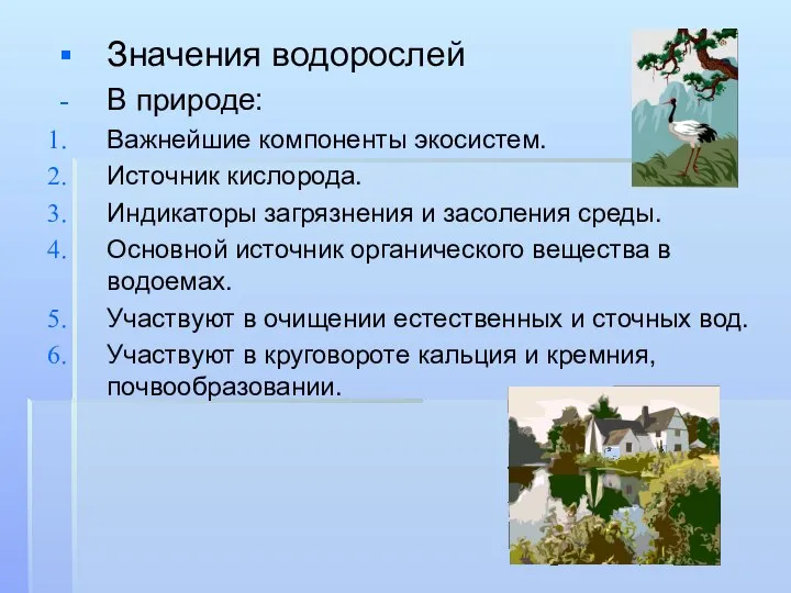 Значения водорослей В природе: Важнейшие компоненты экосистем. Источник кислорода. Индикаторы загрязнения