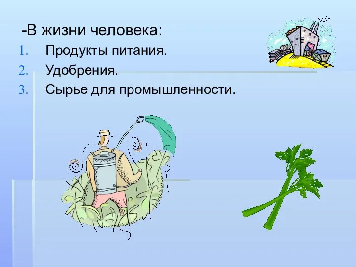 -В жизни человека: Продукты питания. Удобрения. Сырье для промышленности.