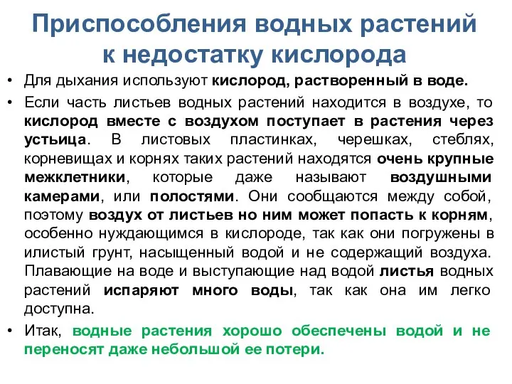 Приспособления водных растений к недостатку кислорода Для дыхания используют кислород, растворенный