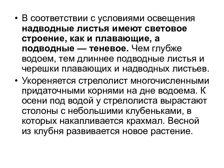 В соответствии с условиями освещения надводные листья имеют световое строение, как