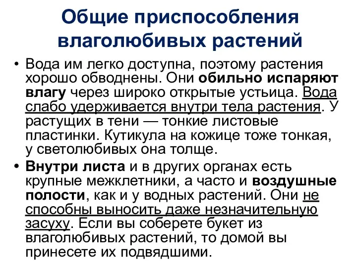 Общие приспособления влаголюбивых растений Вода им легко доступна, поэтому растения хорошо