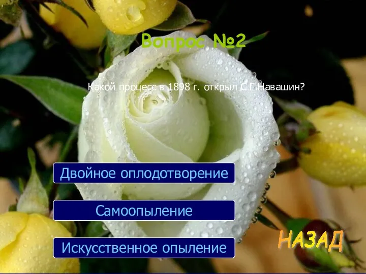 Вопрос №2 Какой процесс в 1898 г. открыл С.Г.Навашин? Искусственное опыление Самоопыление Двойное оплодотворение НАЗАД