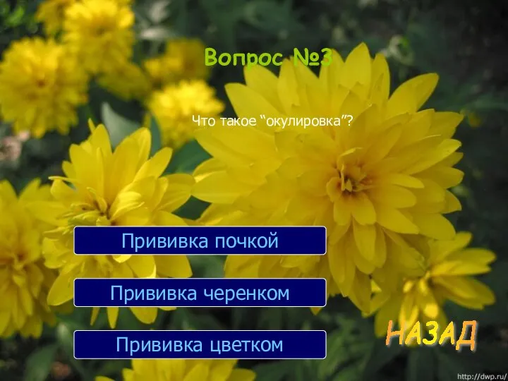 Вопрос №3 Что такое “окулировка”? Прививка цветком Прививка черенком Прививка почкой НАЗАД