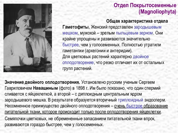 Отдел Покрытосеменные (Magnoliophyta) Значение двойного оплодотворения. Установлено русским ученым Сергеем Гавриловичем