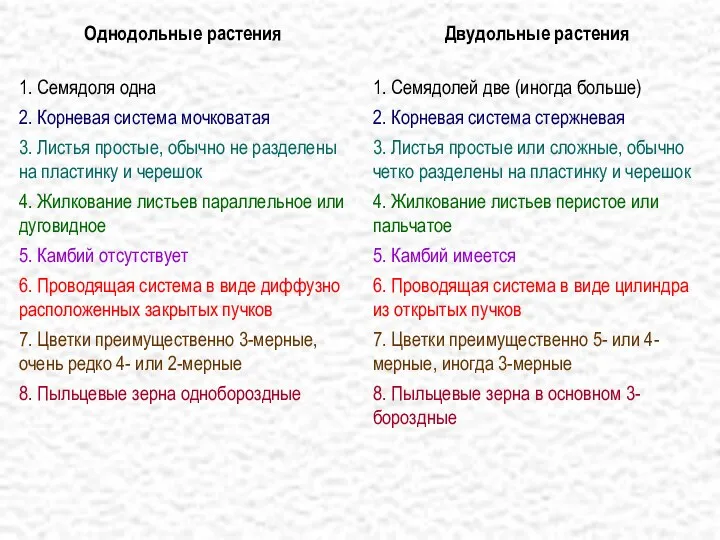 Однодольные растения 1. Семядоля одна 2. Корневая система мочковатая 3. Листья