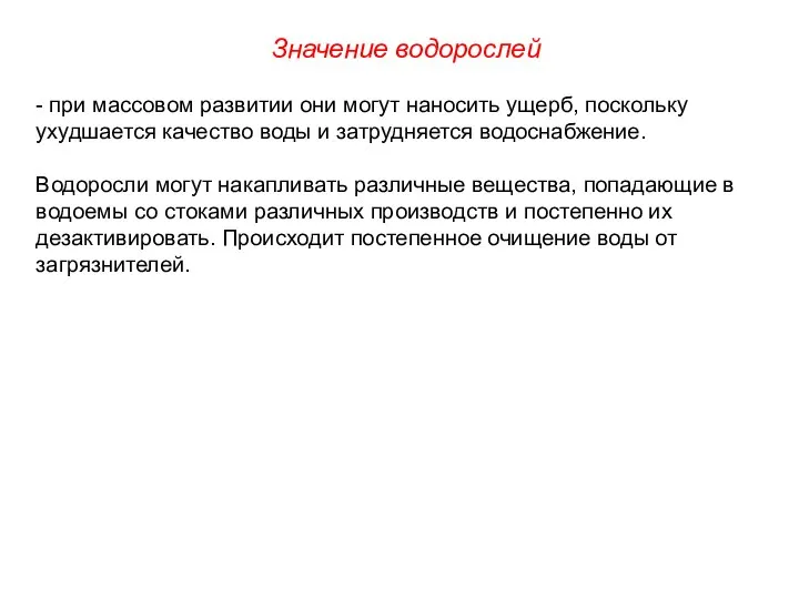 - при массовом развитии они могут наносить ущерб, поскольку ухудшается качество