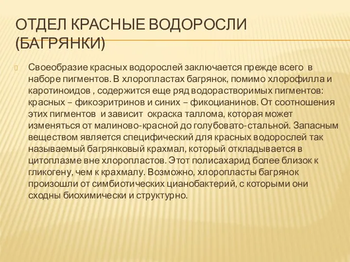 Отдел Красные водоросли (Багрянки) Своеобразие красных водорослей заключается прежде всего в