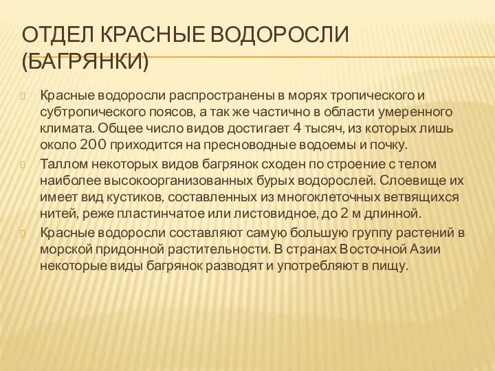 Отдел Красные водоросли (Багрянки) Красные водоросли распространены в морях тропического и