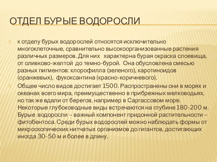 Отдел бурые водоросли к отделу бурых водорослей относятся исключительно многоклеточные, сравнительно