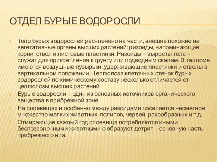 Отдел бурые водоросли Тело бурых водорослей расчленено на части, внешне похожие