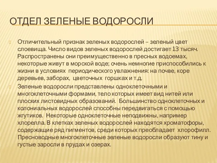 Отдел Зеленые водоросли Отличительный признак зеленых водорослей – зеленый цвет слоевища.